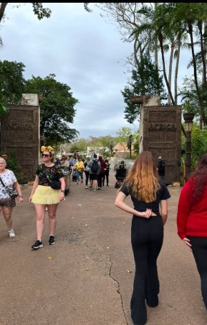 IMG_6132.jpeg