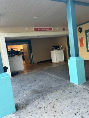 IMG_4641.JPEG