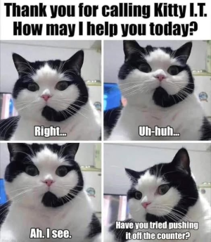 1739472227738.png