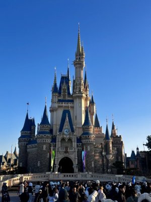 IMG_8150.jpg