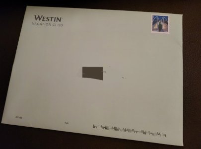 20250214_181152.jpg