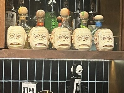 Monkeys.jpeg