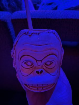 Chilled Monkey head.jpeg