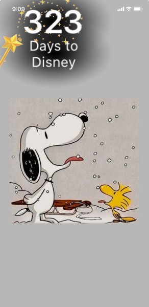 SW SNOW.jpg