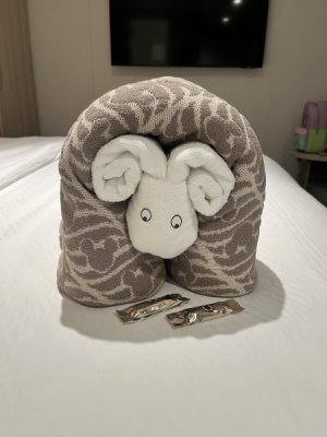 towel animal.jpeg