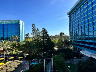 IMG_4332.jpeg