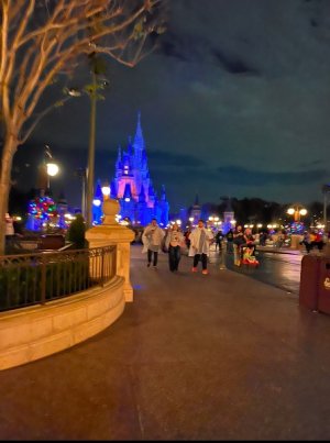 IMG_6167.jpeg