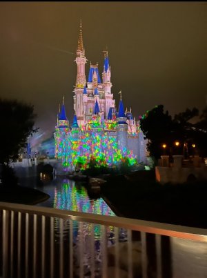 IMG_6175.jpeg