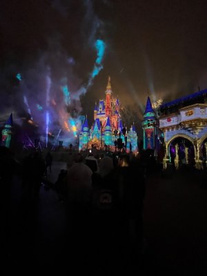 IMG_3384.jpeg