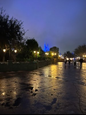 IMG_6207.jpeg