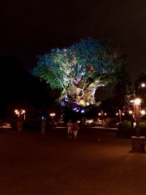 IMG_2080.jpeg