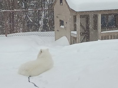 20250216_093100.jpg