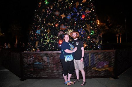 2024-11-21 - Disneys Animal Kingdom Park - The tree of life_4.jpeg