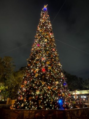IMG_5172.jpg