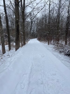 IMG_3499.jpeg