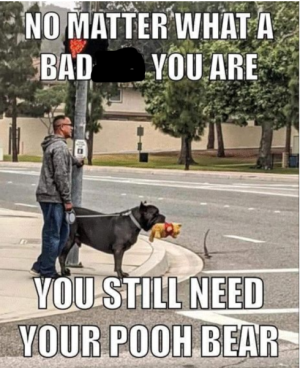 1739734476217.png
