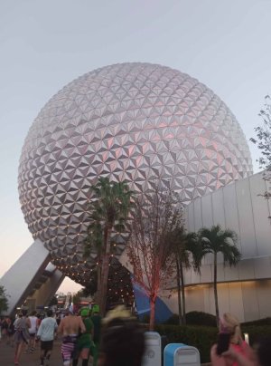20241102_073739_crop.jpg