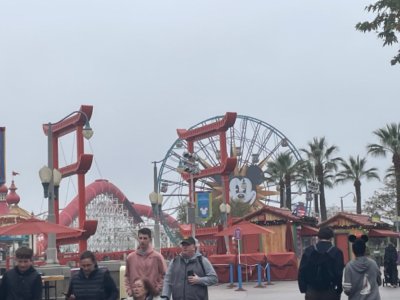 IMG_1570.jpeg