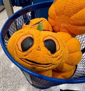 IMG_1001.jpeg