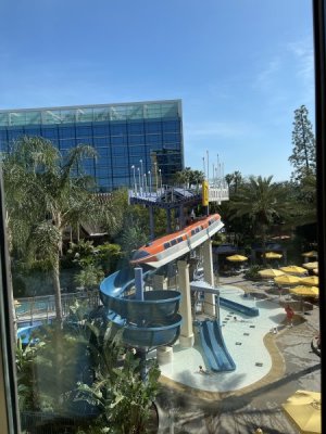 IMG_0355.jpeg