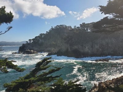 20190926_101229[1].jpg