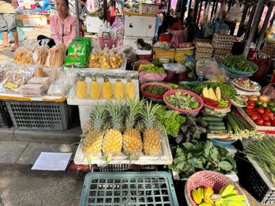 IMG_6467.HEIC_compressed.JPEG