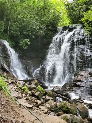 20200619_085622[1].jpg