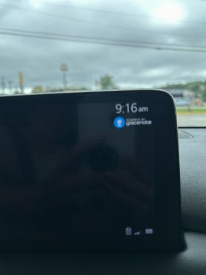 IMG_6267.JPEG