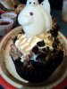 DSC08756.JPG
