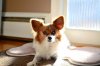 April Vacation 2015_6388a.jpg