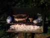 BBQ2.jpg