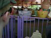 DSCN2808.JPG