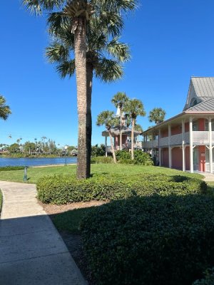 IMG_6298.JPEG