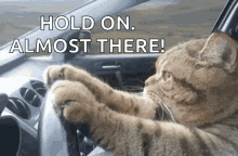 1739902158478.gif