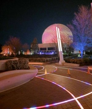 20250109_063222_crop.jpg