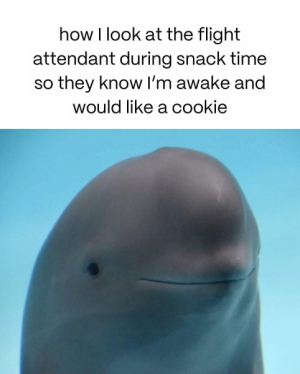 1739968884647.png