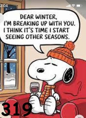 SNOOPY WINTER BREAKUP2.jpg
