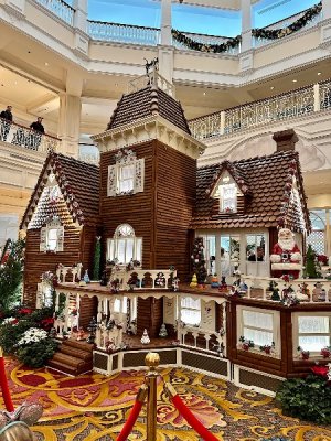 IMG_2025-02-19-173710.jpg
