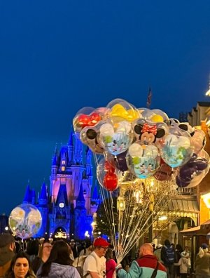 IMG_6303.jpeg