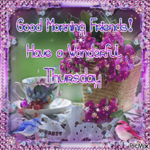 IMG_5066.gif