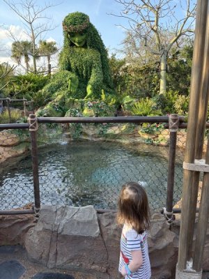 IMG_2176.jpeg