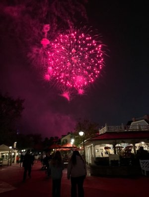 IMG_6314.jpeg