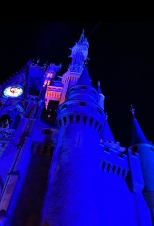 IMG_6328.jpeg