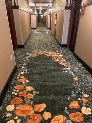 IMG_2525.jpeg