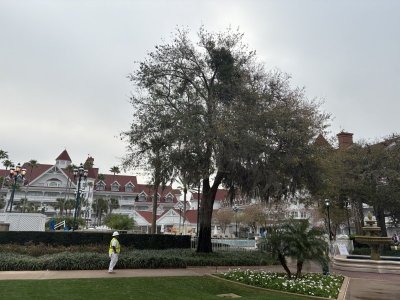 IMG_6655.jpeg