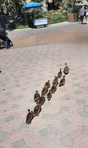 1740116790105.png