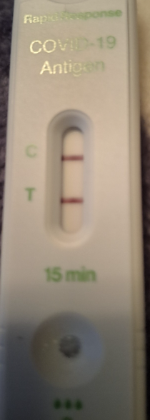 1740164023513.png