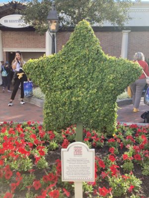 IMG_4195.jpeg