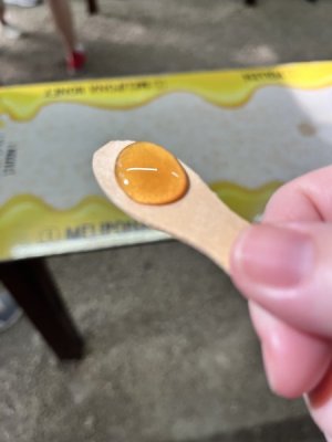 honey sample.jpeg
