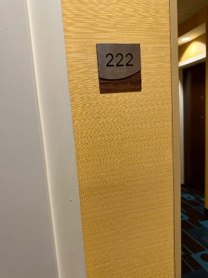 IMG_2542.jpeg